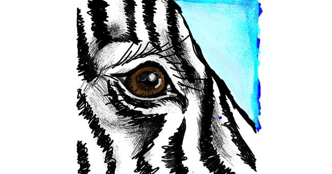 Zebra - autor: Dettale