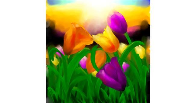 Tulpen-Zeichnung von 🌌Mom💕E🌌