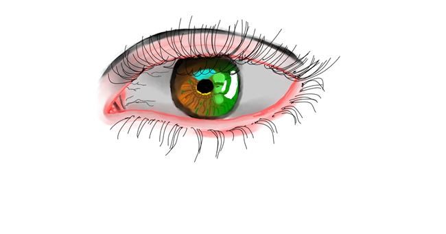 Drawing of Eyes by Paloma