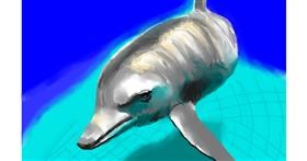 Drawing of Dolphin by Herbert