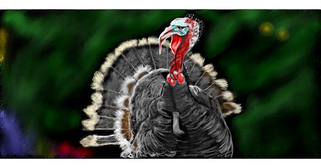 Drawing of Turkey by Chaching