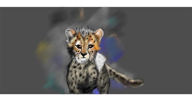 Drawing of Cheetah by Chaching