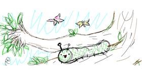 Drawing of Caterpillar by Rosa