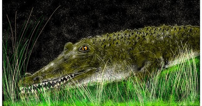 Alligator-Zeichnung von Eclat de Lune