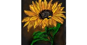 Drawing of Sunflower by KayXXXlee