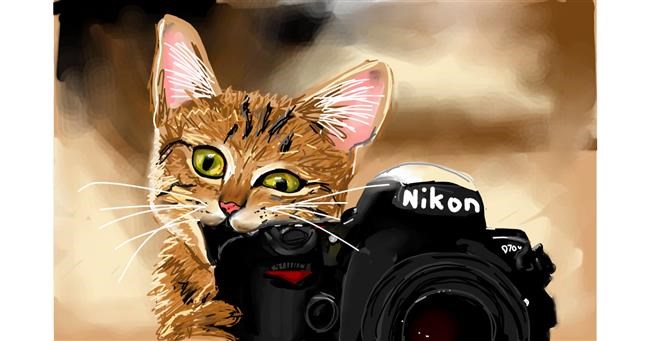 Drawing of Camera by Rose rocket