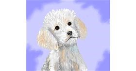 Drawing of Poodle by Sofie