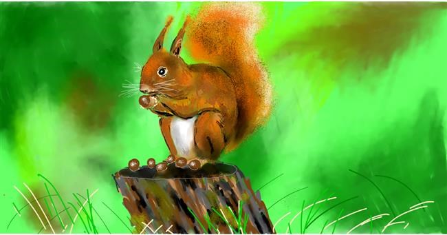 Drawing of Squirrel by Eclat de Lune