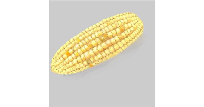 Drawing of Corn by Andromeda