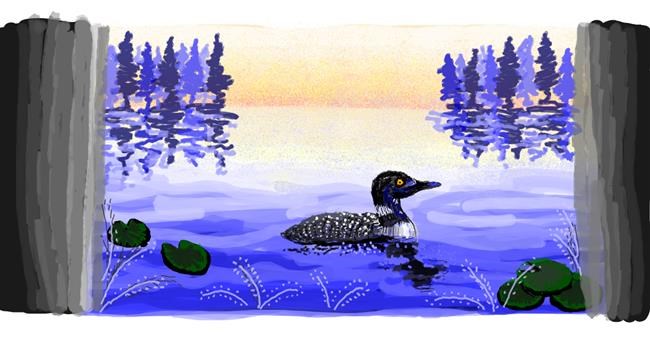 Drawing of Duck by Helena