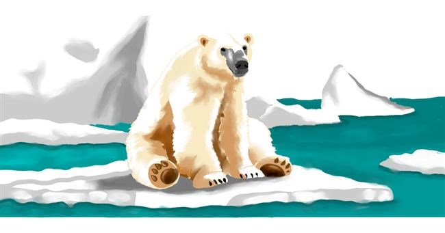 Polarni medvjed - autor: Annie