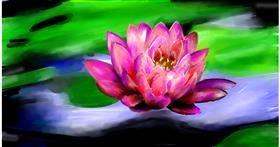 Drawing of Water lily by Mia