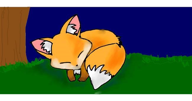 Drawing of Fox by Rain