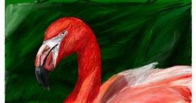 Drawing of Flamingo by Mia