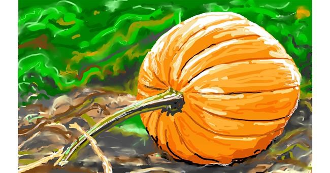 Drawing of Pumpkin by flowerpot