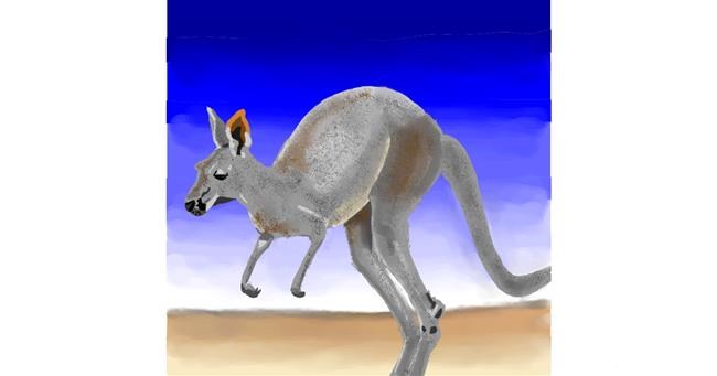 Drawing of Kangaroo by Joze