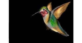 Drawing of Hummingbird by Jan