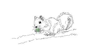 Drawing of Squirrel by wesley