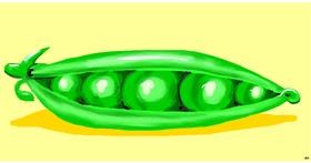 Drawing of Peas by Swimmer