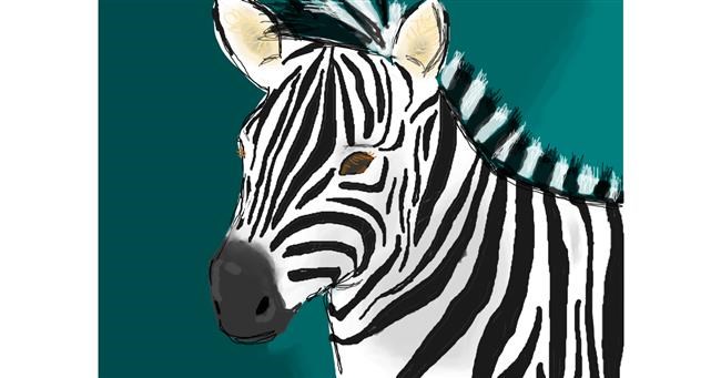 Zebra-Zeichnung von green