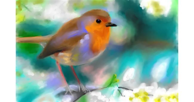 Drawing of Bird by Herbert