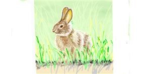 Drawing of Rabbit by GJP