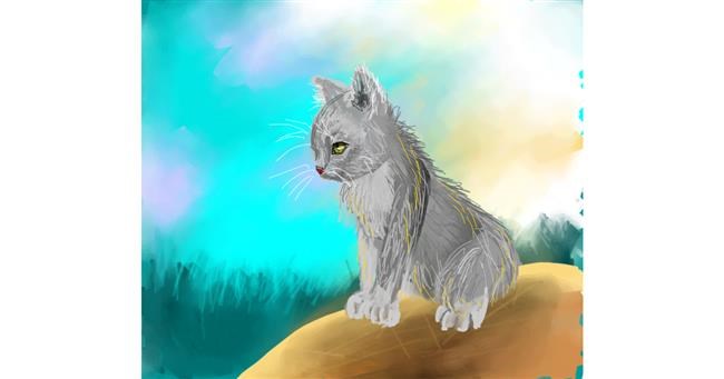 Mače - autor: Iris