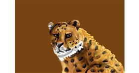 Gepard - autor: Mia