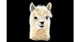 Drawing of Llama by GJP