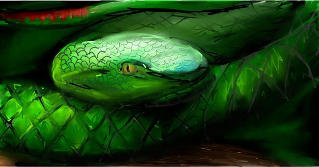 Drawing of Snake by Mia
