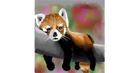 Crvena panda - autor: Яandi