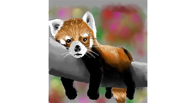 Drawing of Red Panda by BananaConzarles