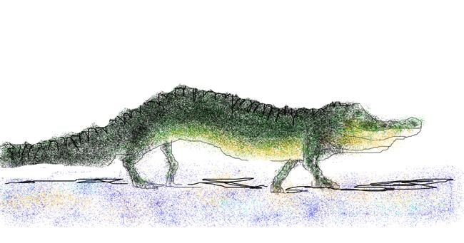 Aligator - autor: Karlin