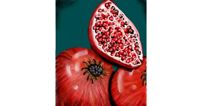 Drawing of Pomegranate by 🌌Mom💕E🌌