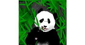 Panda - autor: Clar