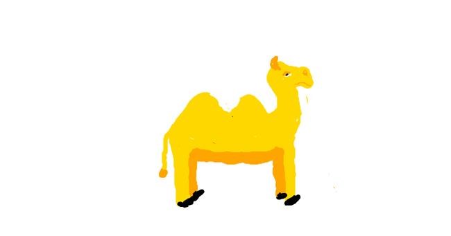 Drawing of Camel by Anonymous