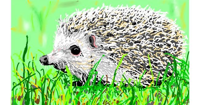 Drawing of Hedgehog by flowerpot