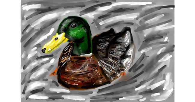 Drawing of Duck by Mia