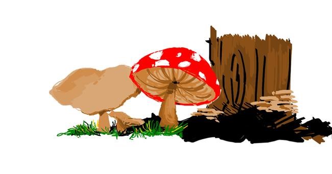 Drawing of Mushroom by mine