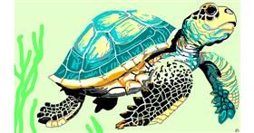 Drawing of Sea turtle by flowerpot