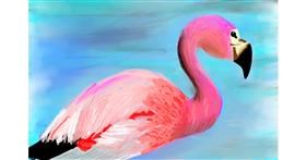 Flamingo - autor: Rak