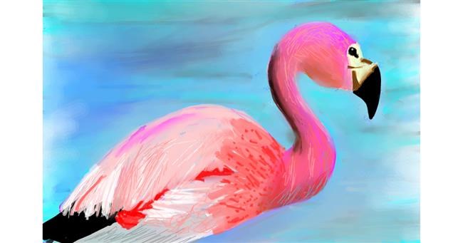 Flamingo - autor: Rak