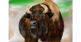 Drawing of Bison by Mia