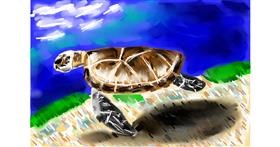 Drawing of Sea turtle by Mia