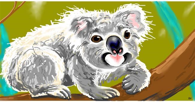 Koala - autor: Swimmer 