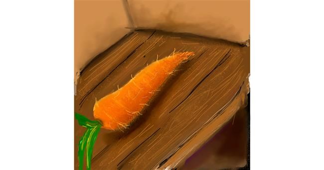 Drawing of Carrot by Ayisha