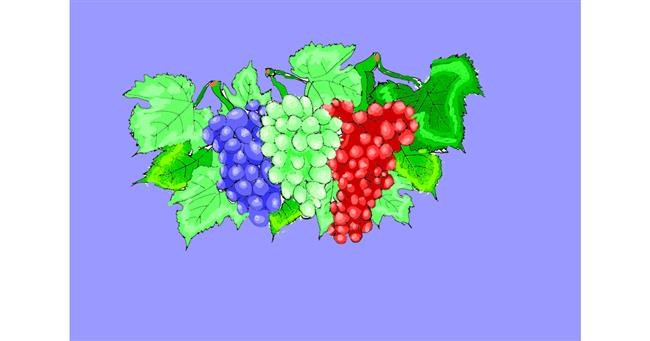 Trauben-Zeichnung von ThasMe13