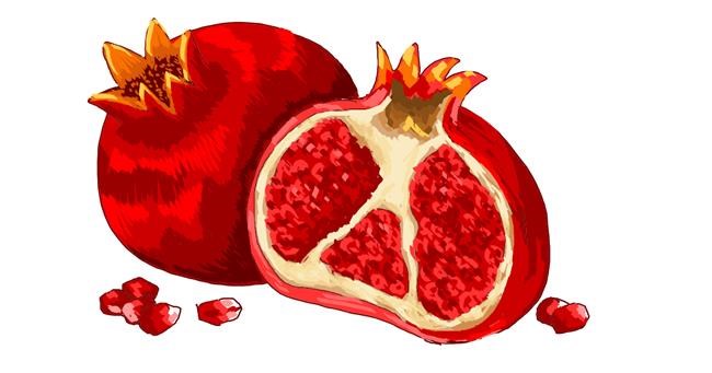 Drawing of Pomegranate by chipichipi chapachapa