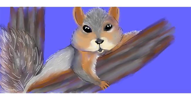 Drawing of Squirrel by DebbyLee