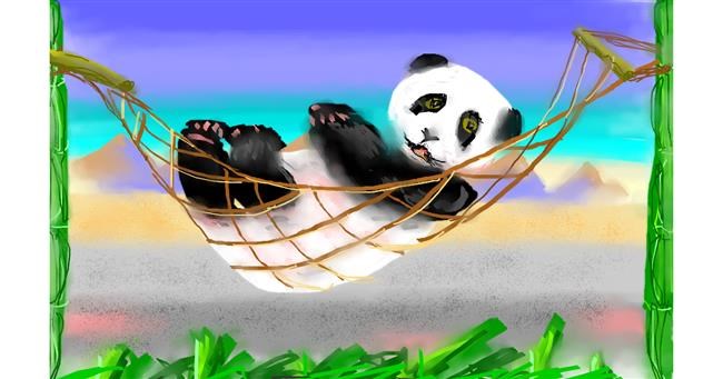 Panda - autor: Herbert